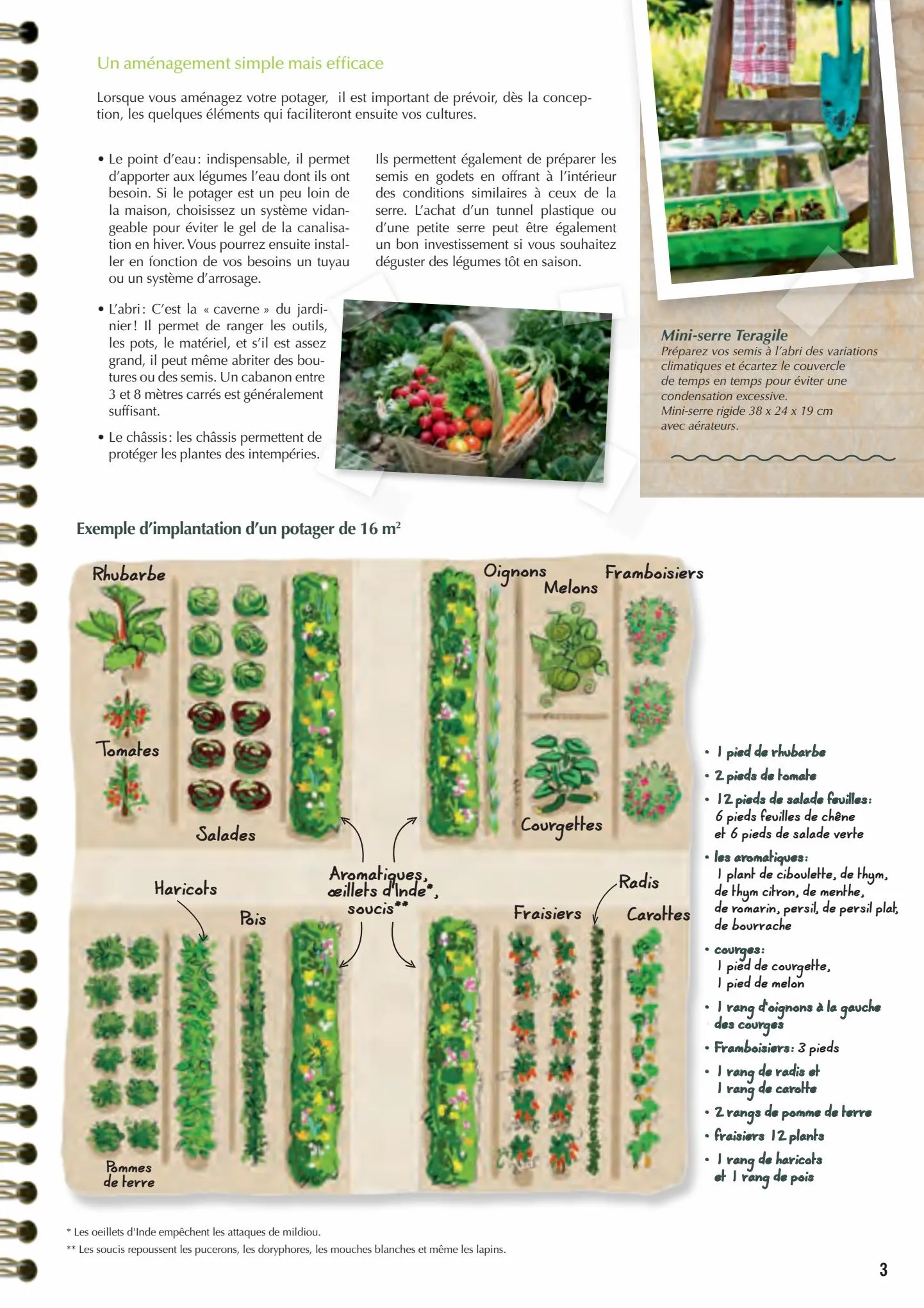 Catalogue Point Vert Guide du potager, page 00003
