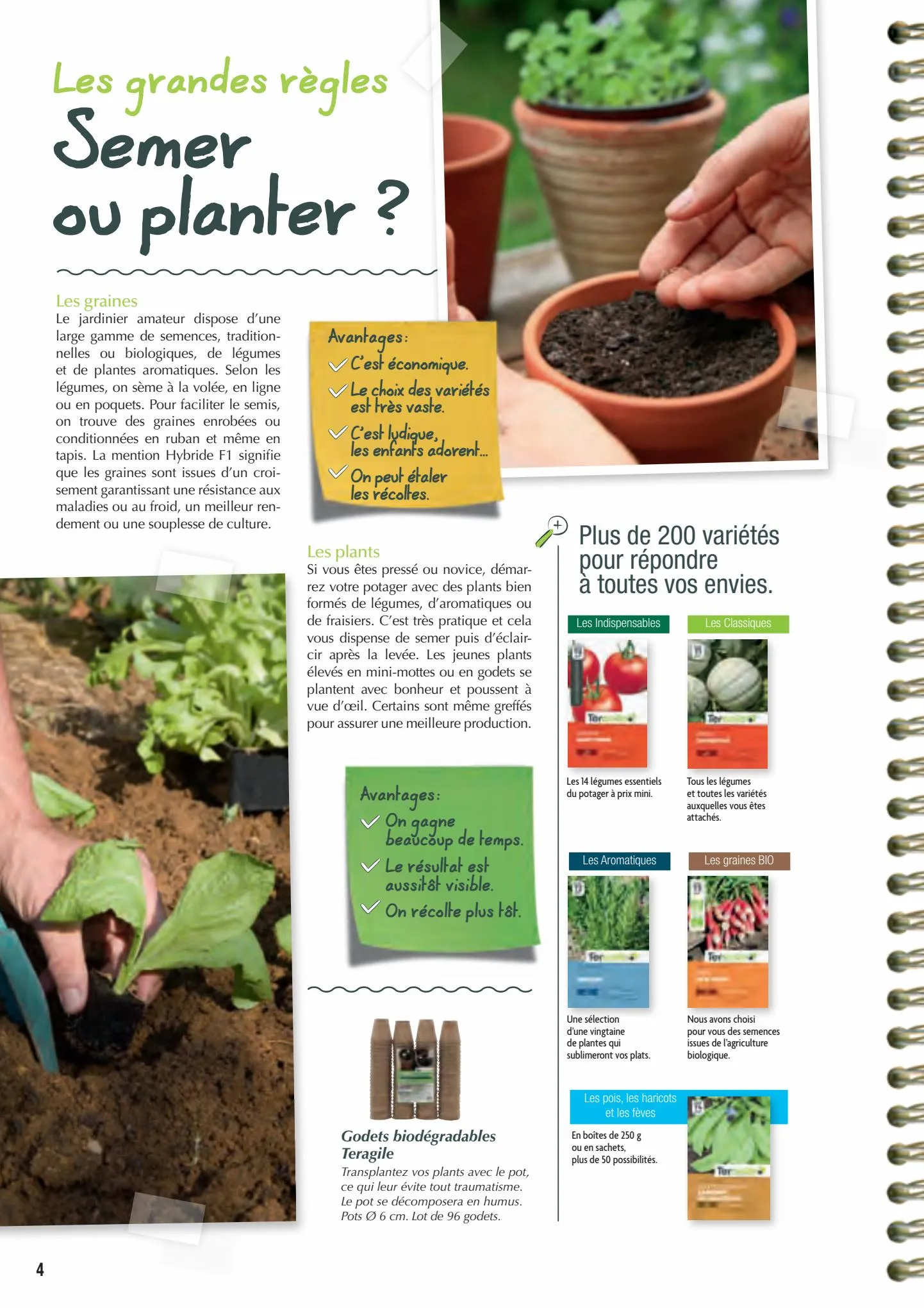 Catalogue Point Vert Guide du potager, page 00004