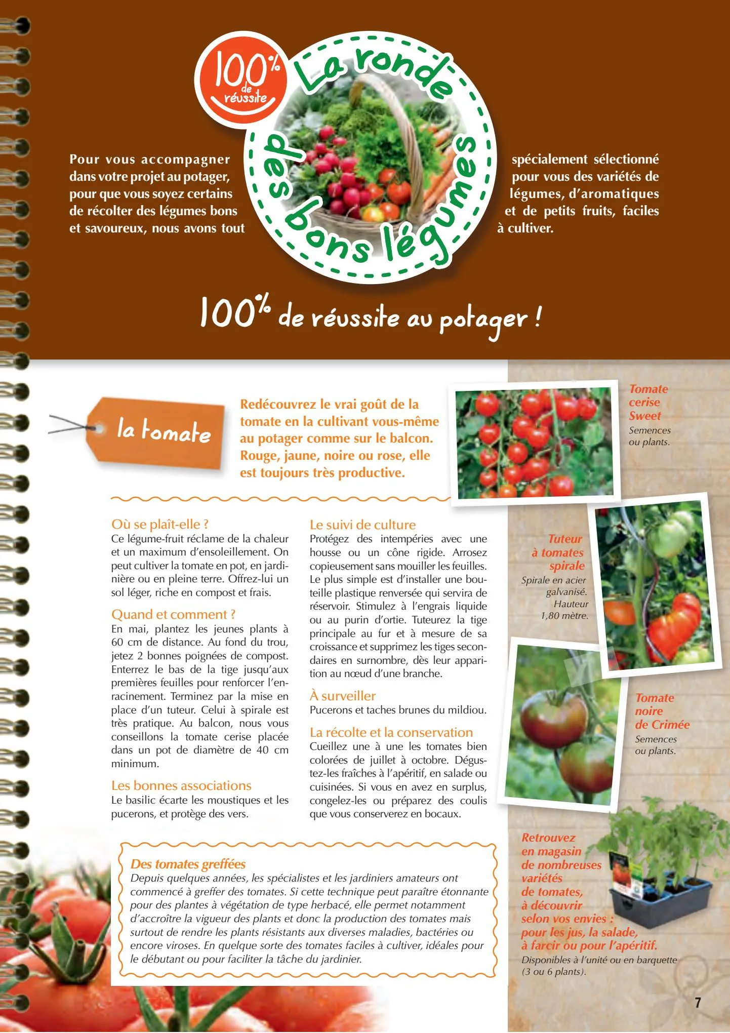 Catalogue Point Vert Guide du potager, page 00007