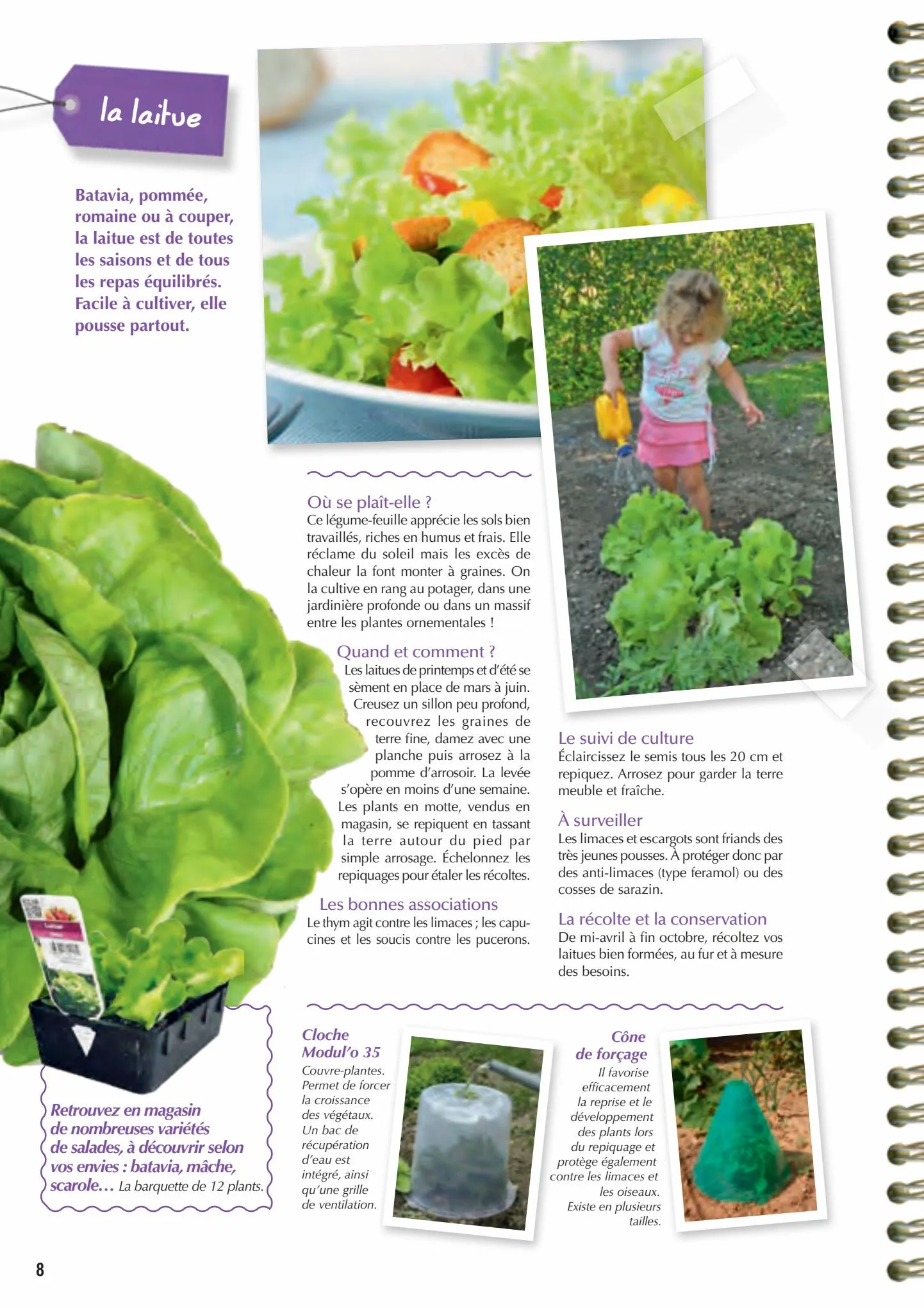 Catalogue Point Vert Guide du potager, page 00008