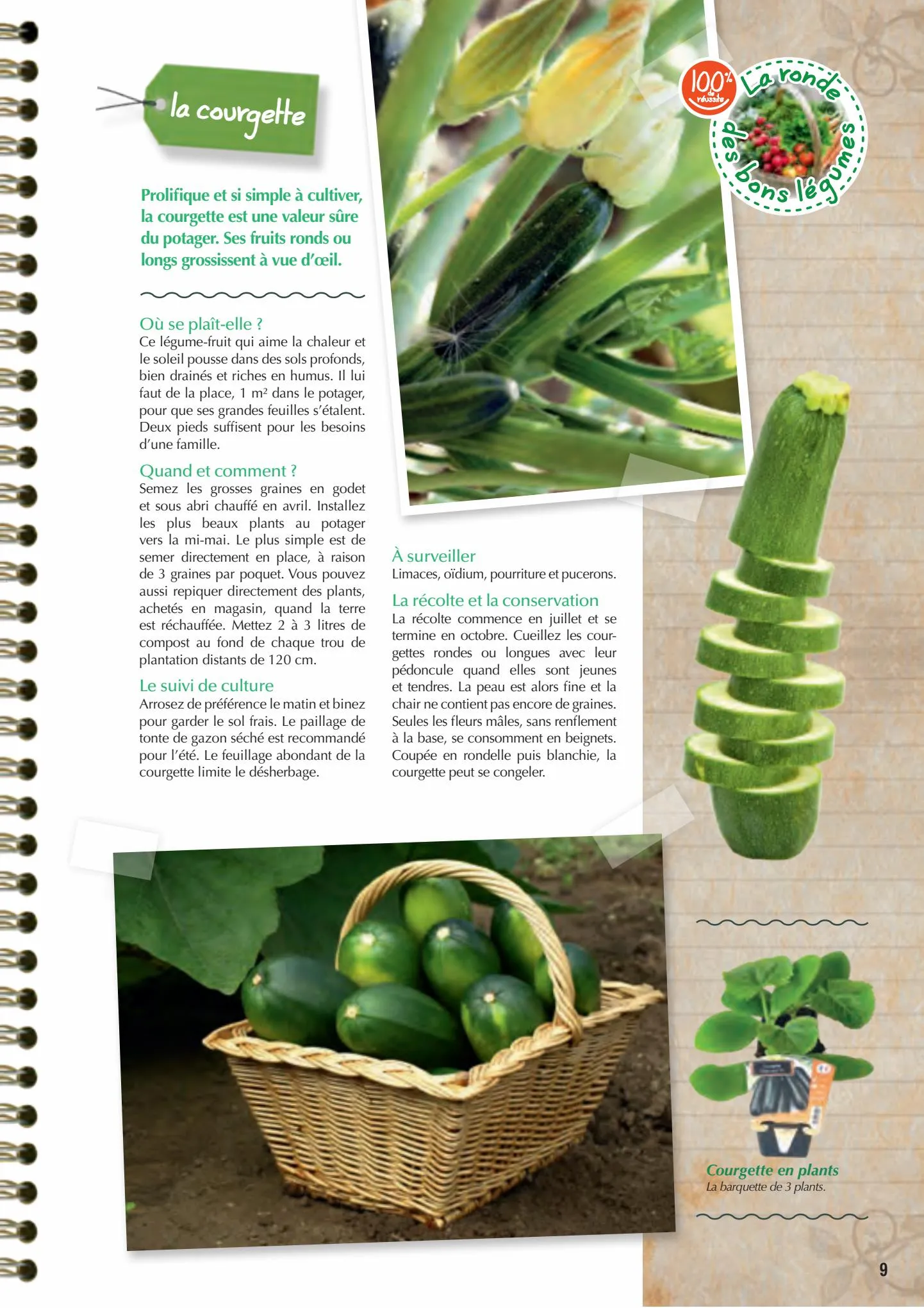 Catalogue Point Vert Guide du potager, page 00009