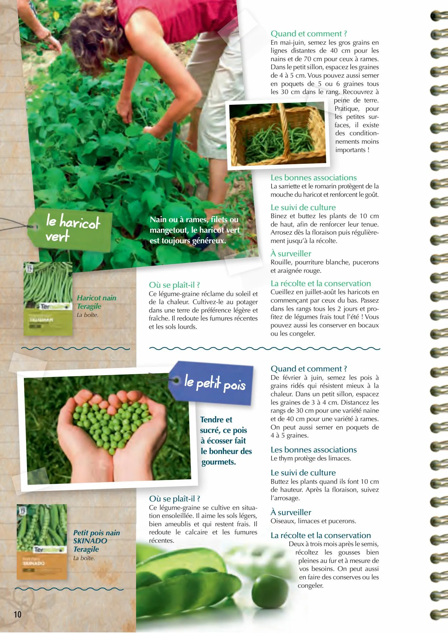 Catalogue Point Vert Guide du potager, page 00010