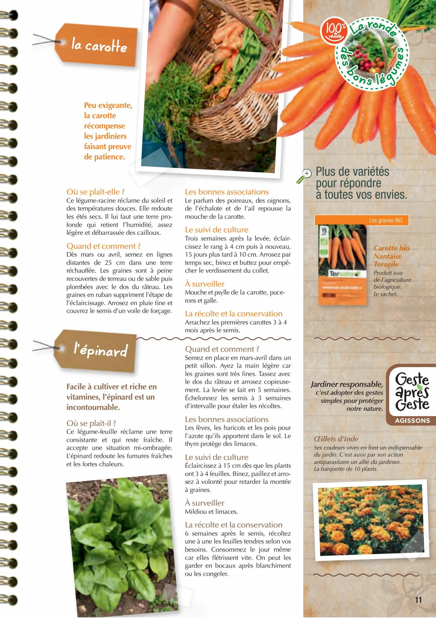 Catalogue Point Vert Guide du potager, page 00011