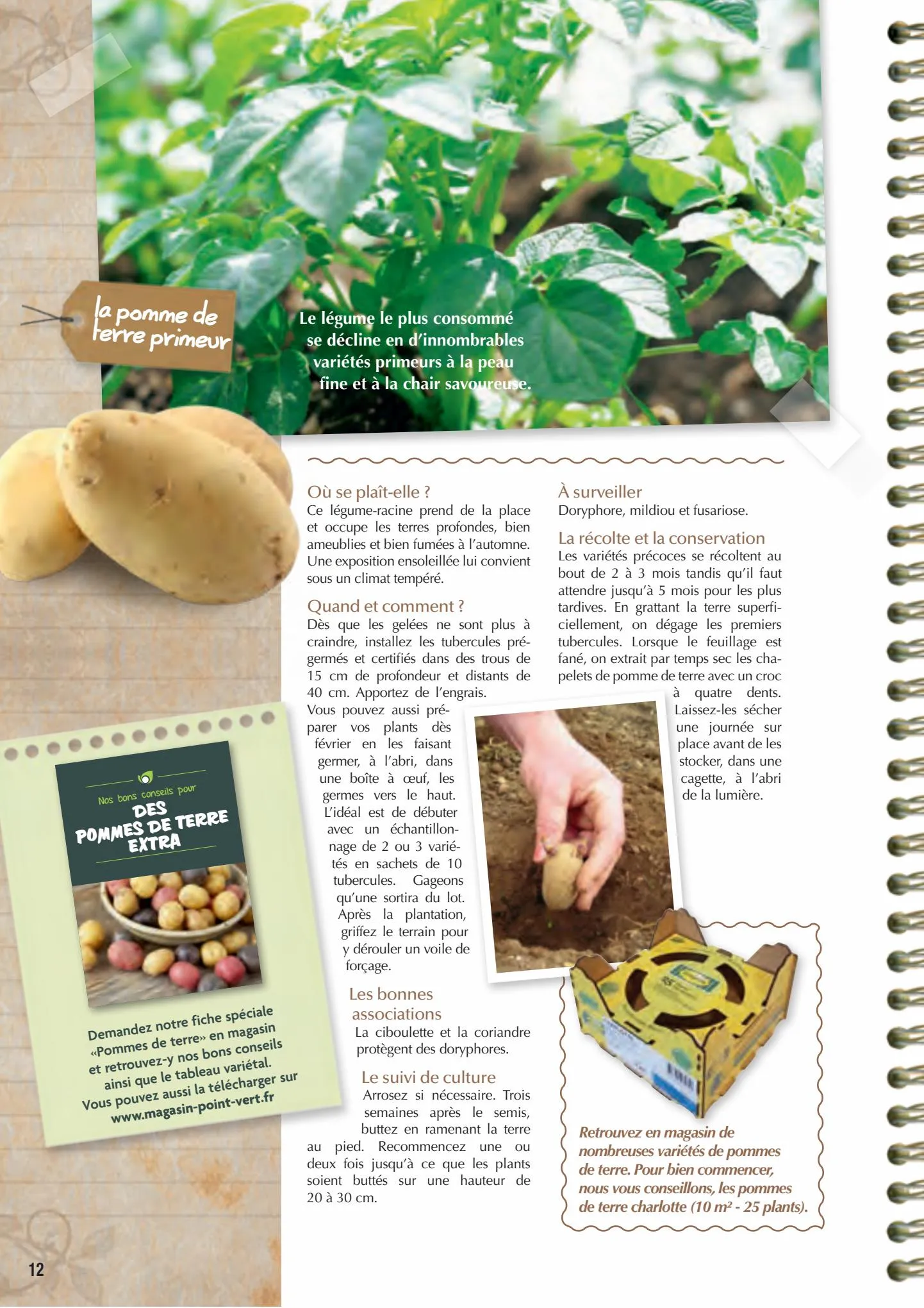 Catalogue Point Vert Guide du potager, page 00012