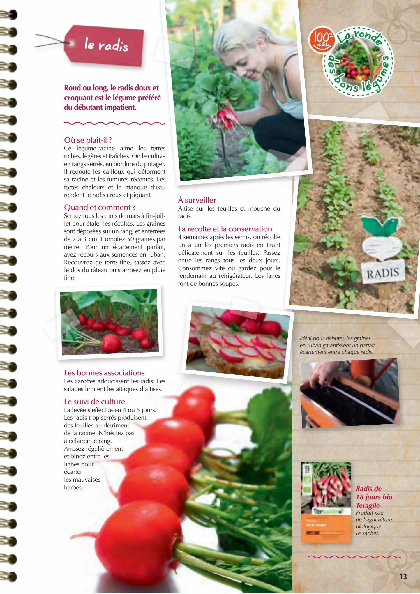 Catalogue Point Vert Guide du potager, page 00013