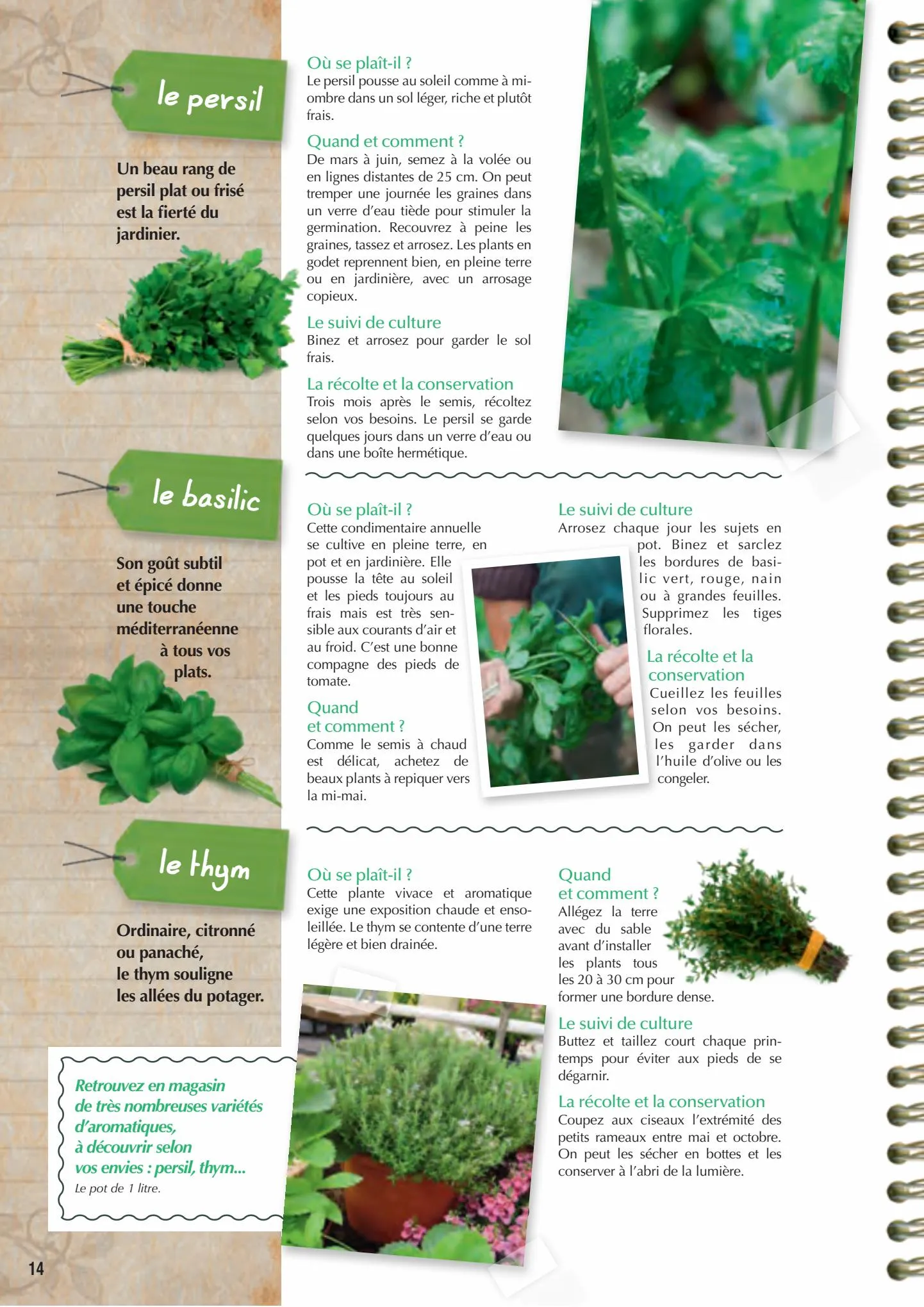 Catalogue Point Vert Guide du potager, page 00014