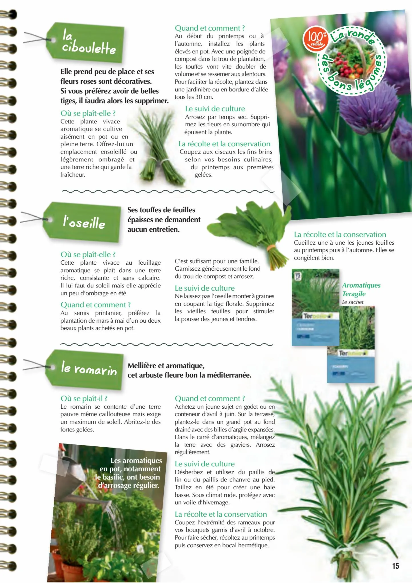 Catalogue Point Vert Guide du potager, page 00015