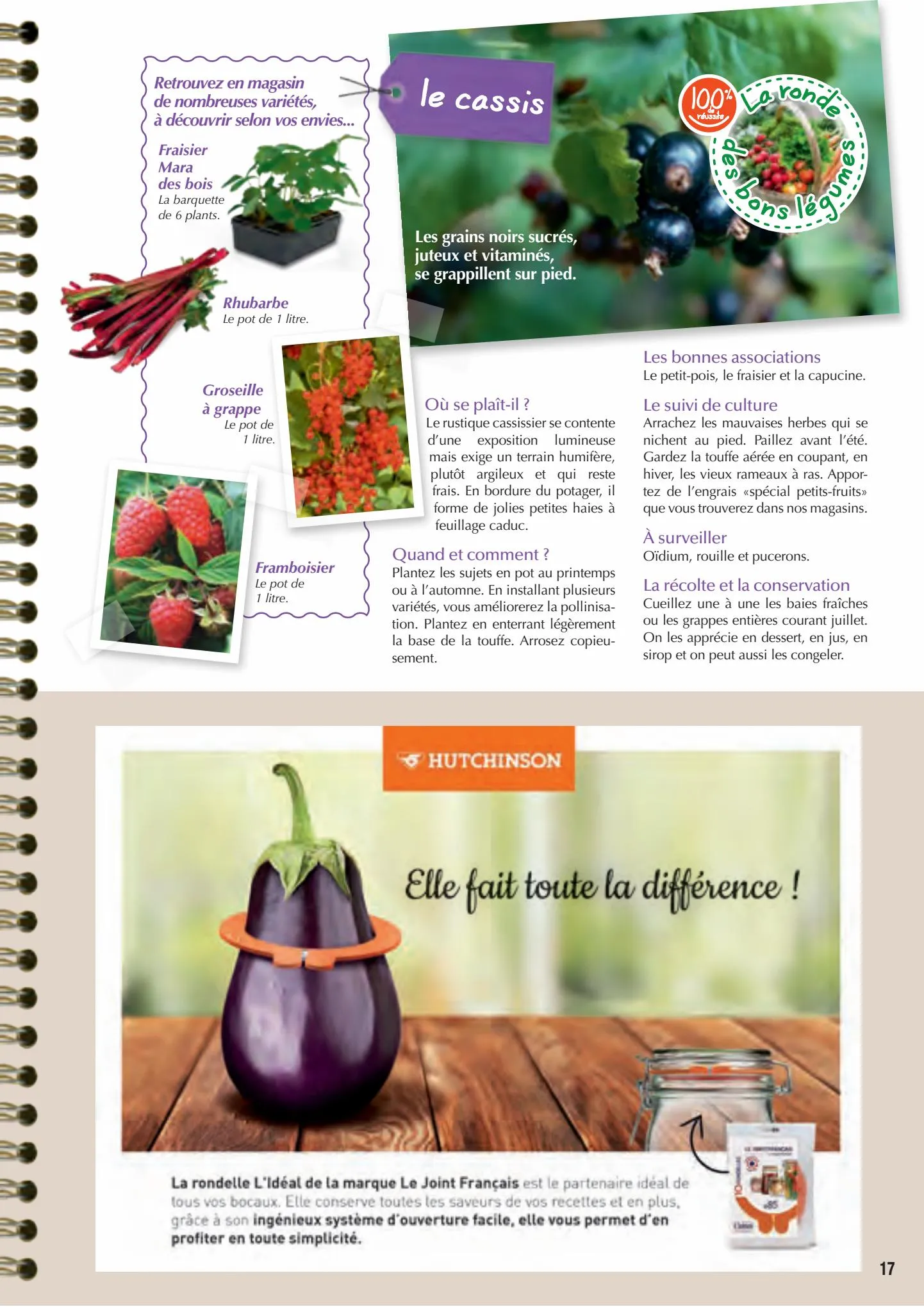 Catalogue Point Vert Guide du potager, page 00017