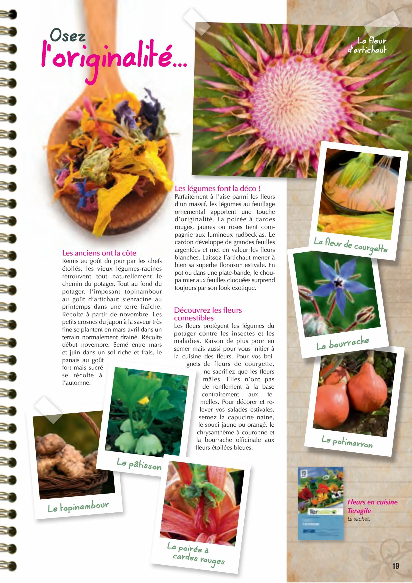 Catalogue Point Vert Guide du potager, page 00019