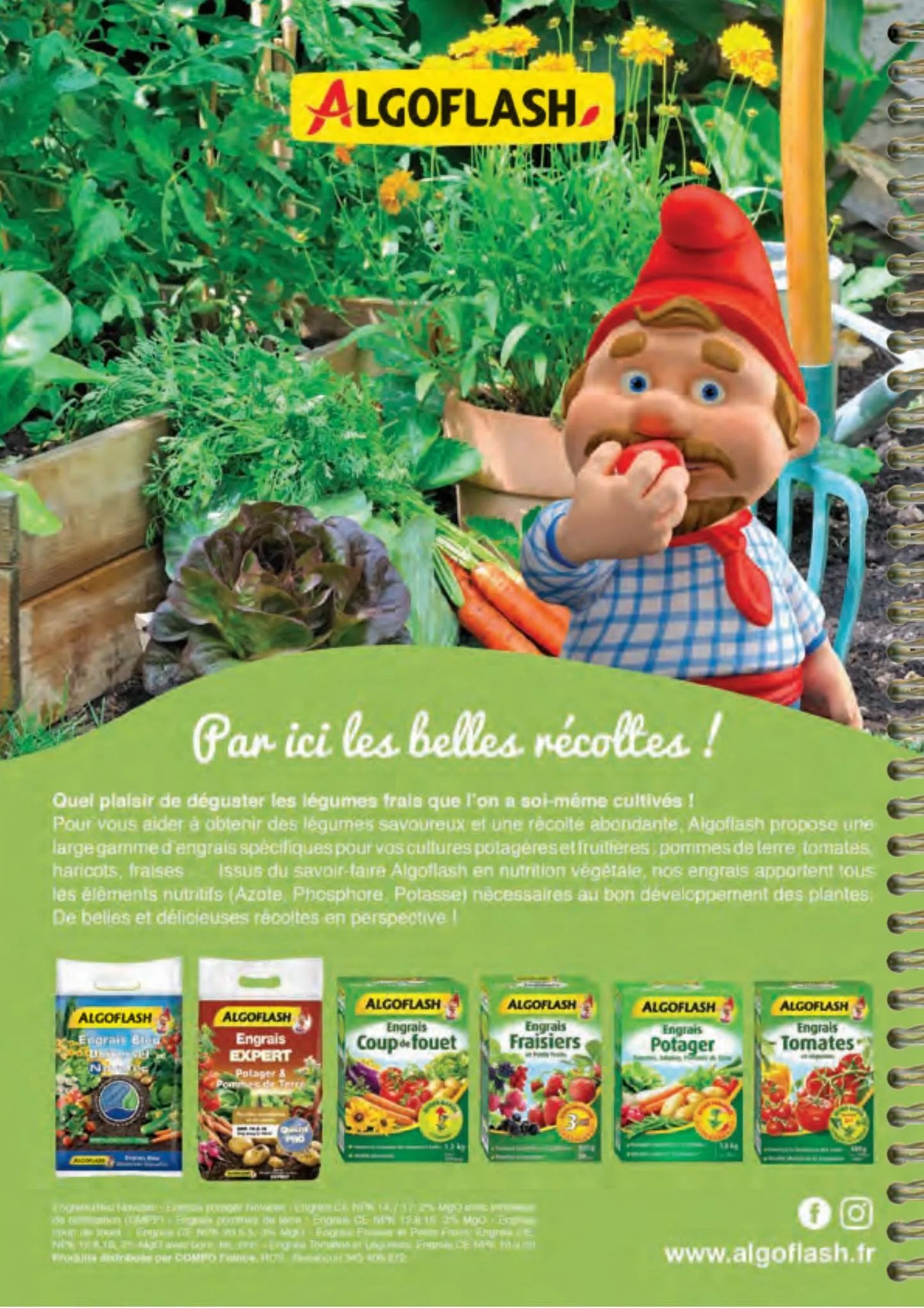 Catalogue Point Vert Guide du potager, page 00022