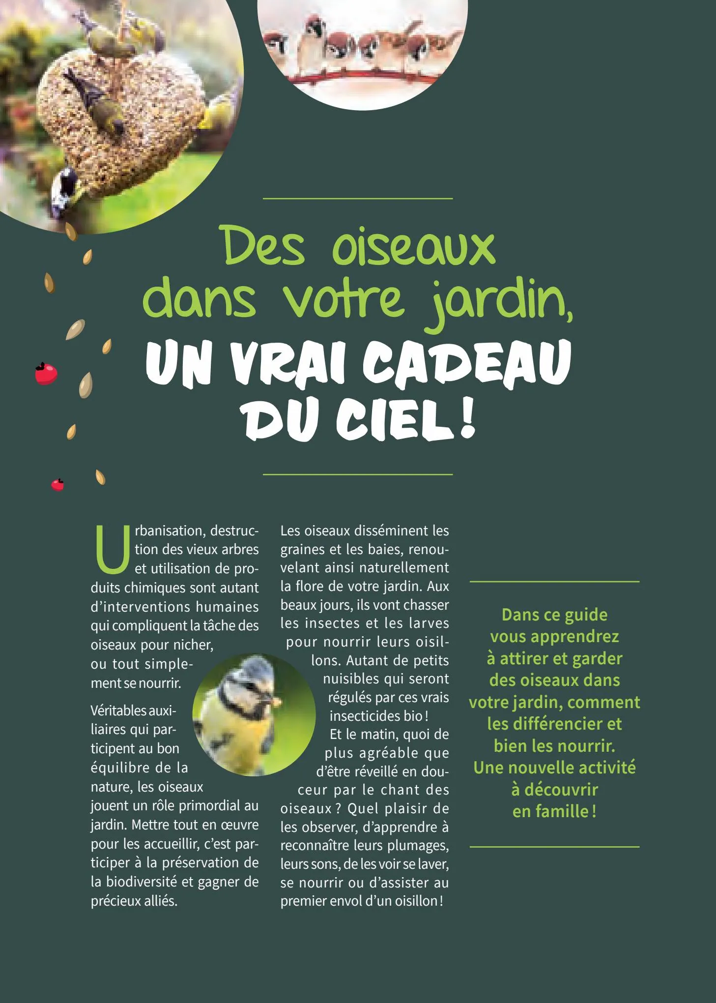 Catalogue Point Vert Guide les oiseaux de jardin, page 00002