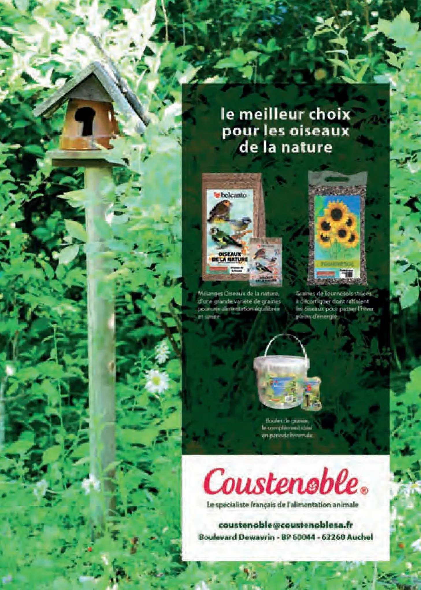 Catalogue Point Vert Guide les oiseaux de jardin, page 00004
