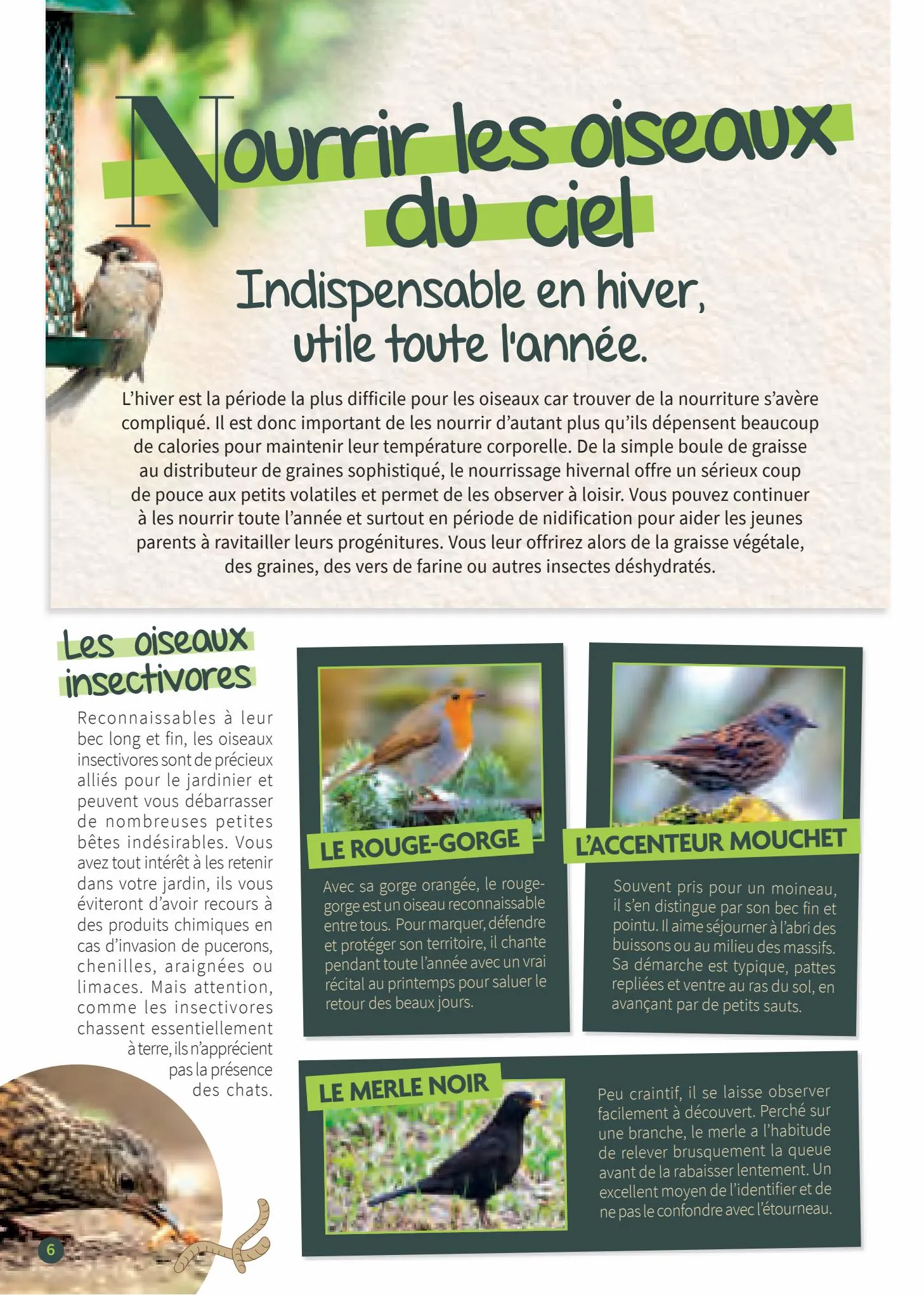Catalogue Point Vert Guide les oiseaux de jardin, page 00006