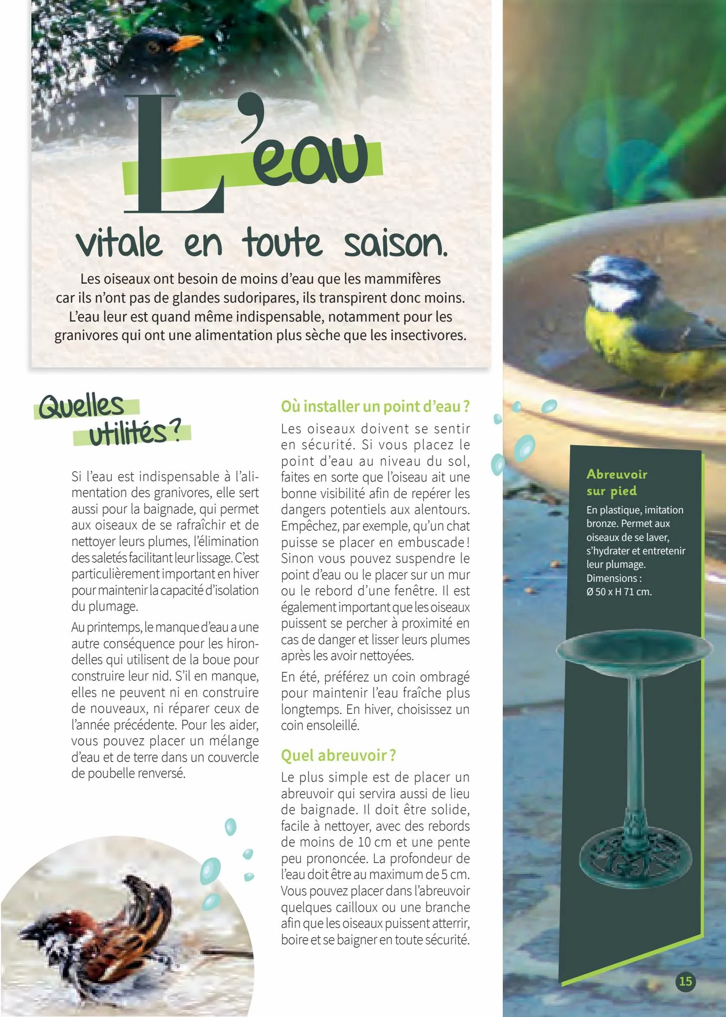 Catalogue Point Vert Guide les oiseaux de jardin, page 00015
