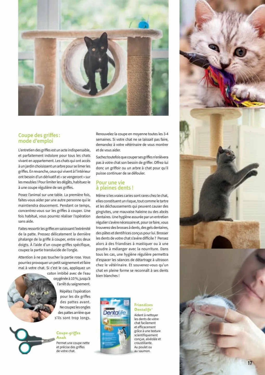 Catalogue Point Vert Guide Chiens et Chats, page 00017