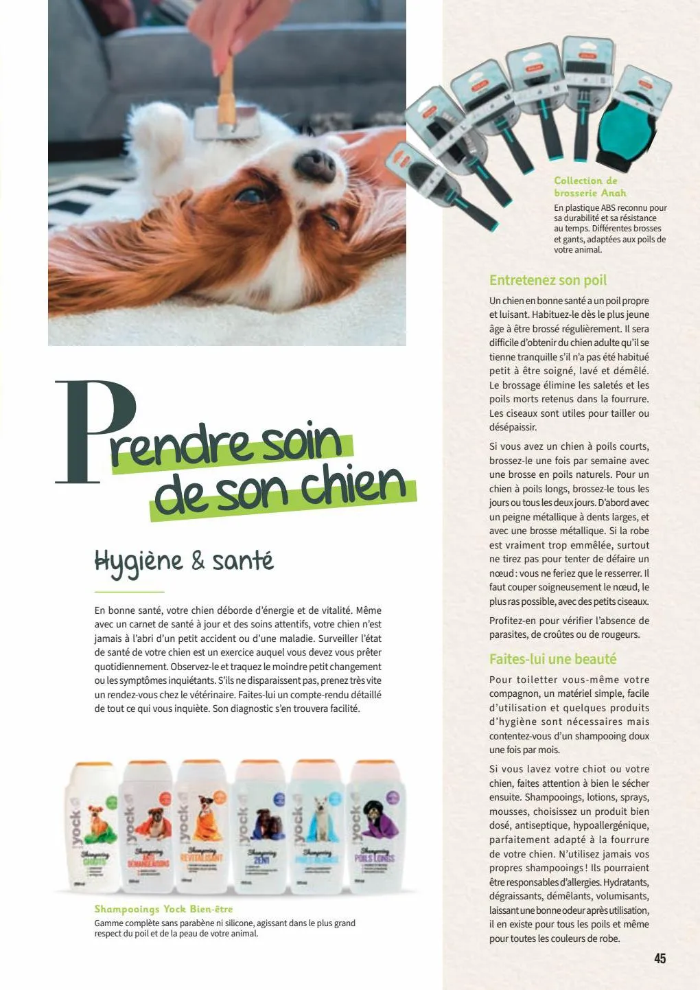 Catalogue Point Vert Guide Chiens et Chats, page 00045