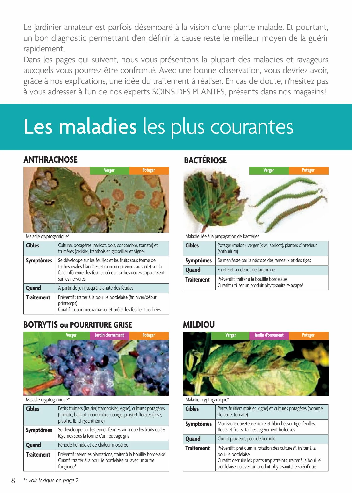 Catalogue Point Vert Guide Soigner vos plantations, page 00008