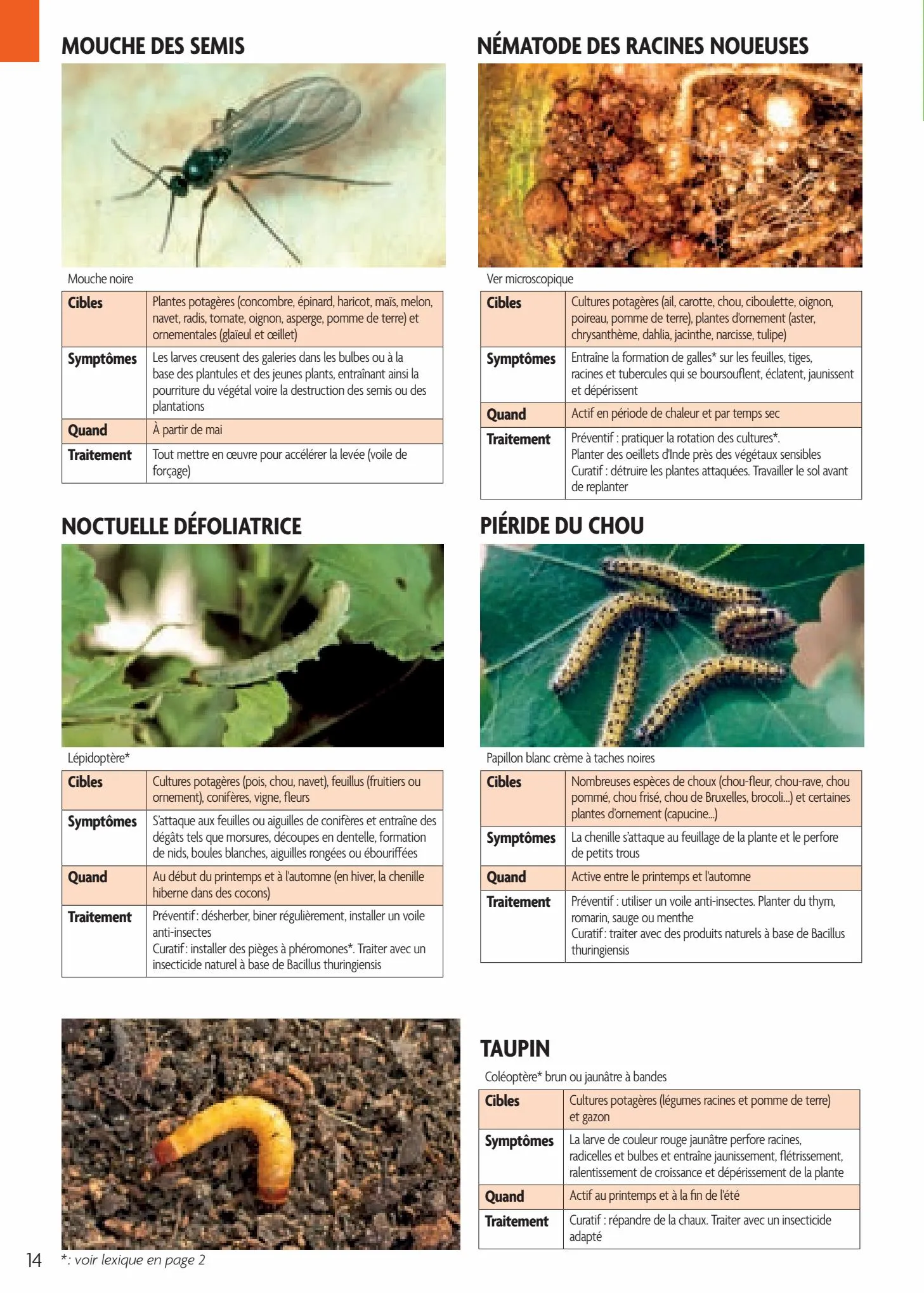 Catalogue Point Vert Guide Soigner vos plantations, page 00014