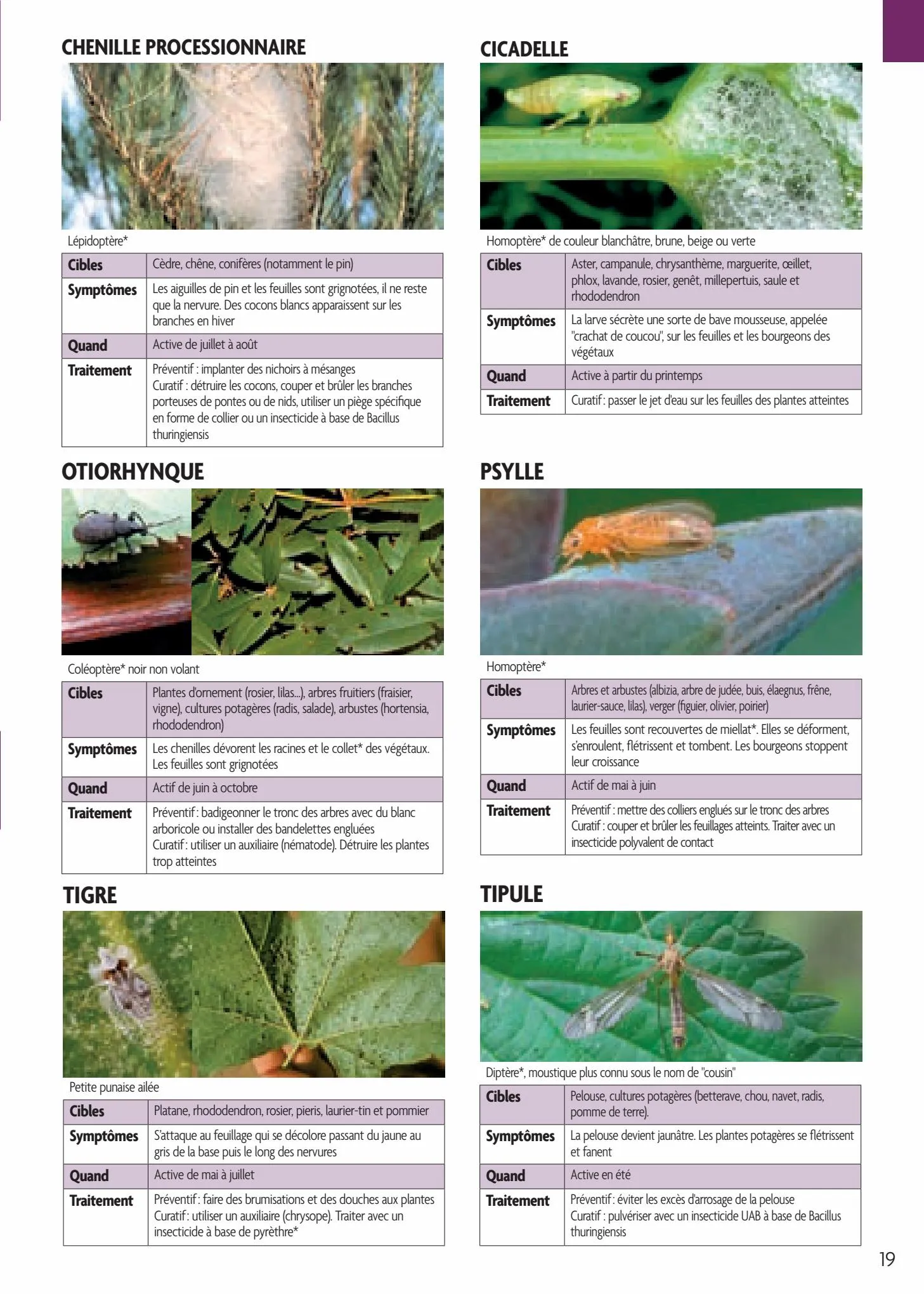 Catalogue Point Vert Guide Soigner vos plantations, page 00019