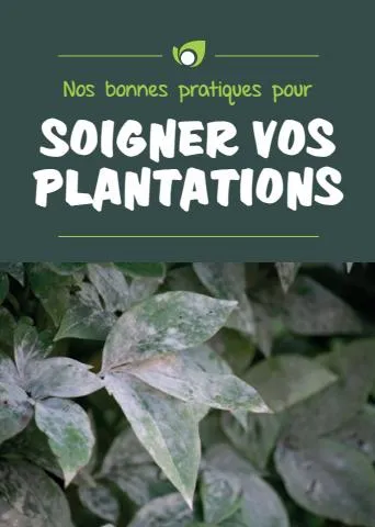 Point Vert Guide Soigner vos plantations
