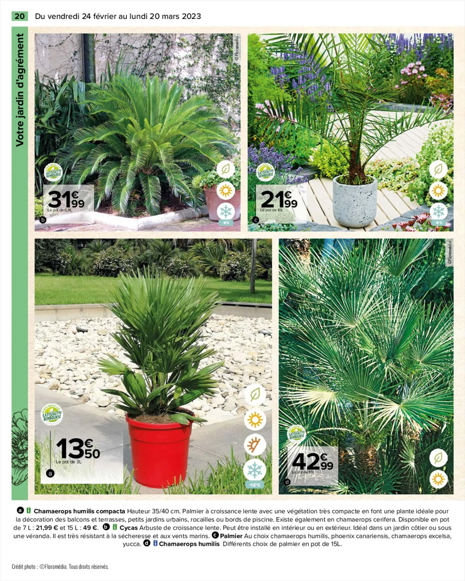 Catalogue SPECIAL JARDIN , page 00020