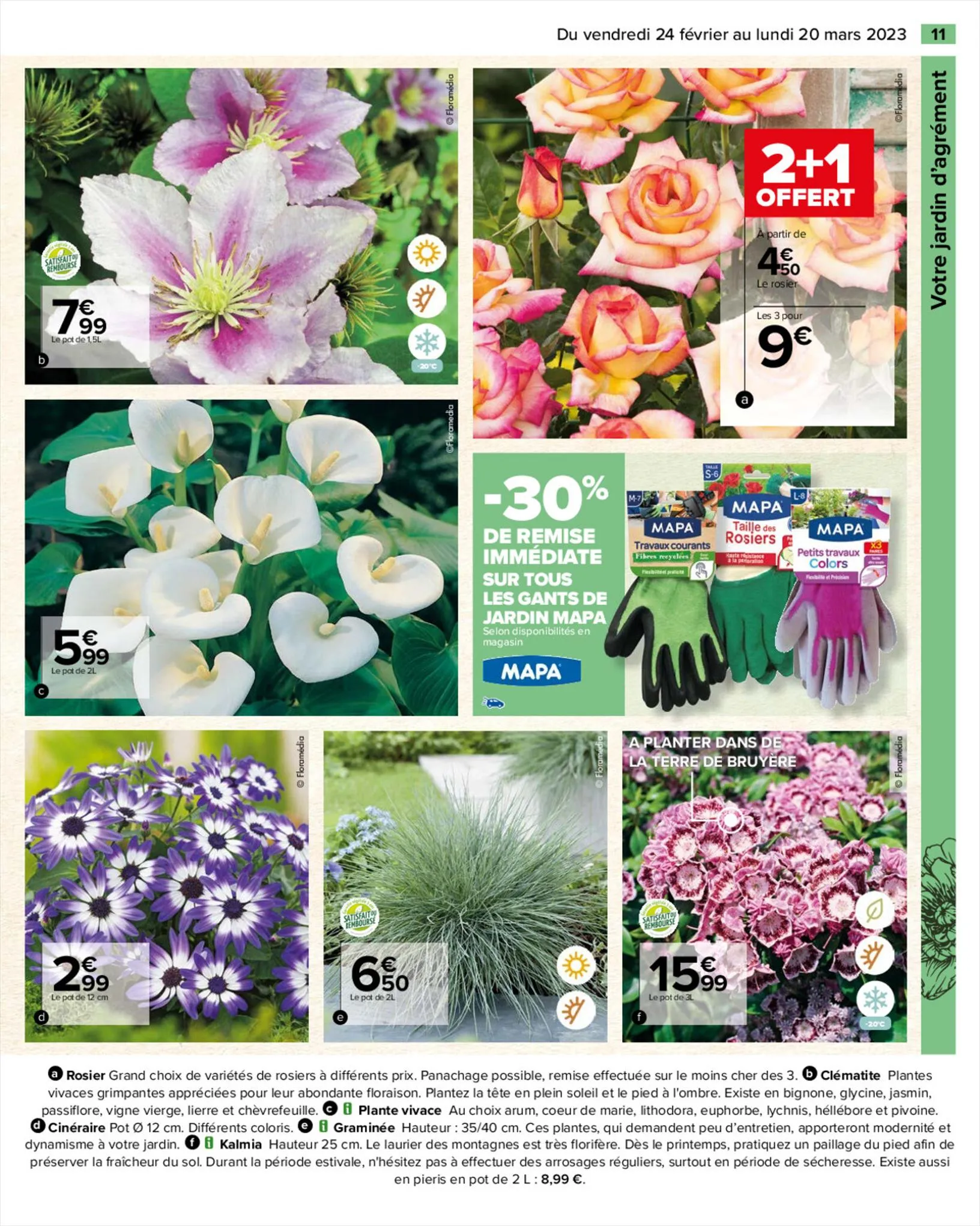 Catalogue SPECIAL JARDIN , page 00011