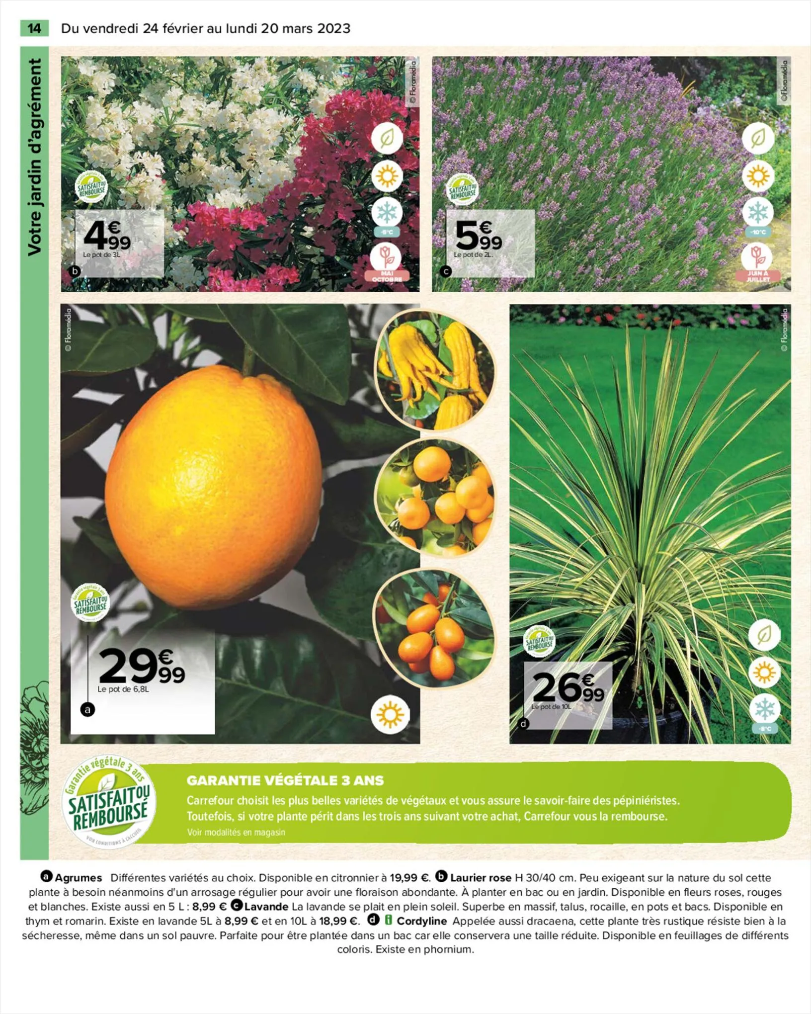 Catalogue SPECIAL JARDIN , page 00014