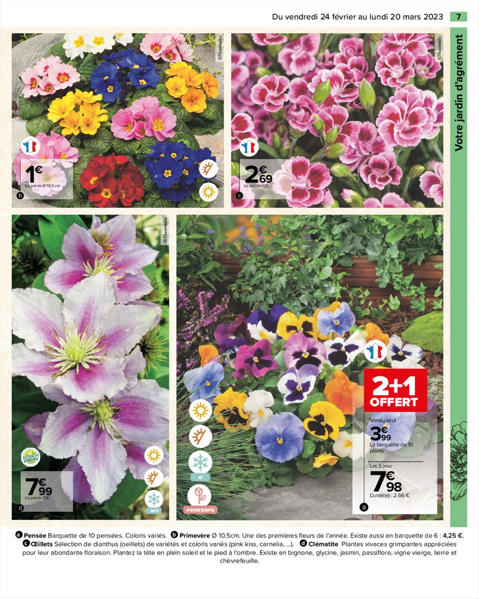 Catalogue SPECIAL JARDIN , page 00007