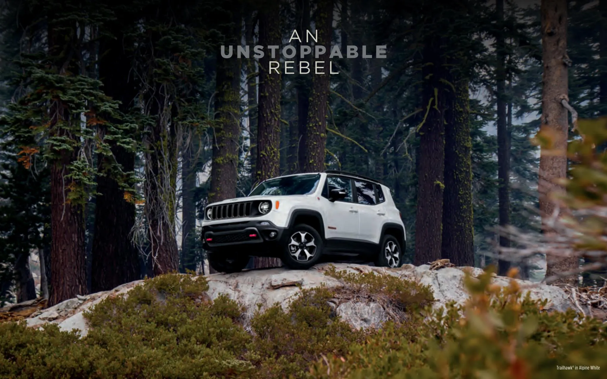 Catalogue 2022-Jeep-Renegade-Catalog, page 00038