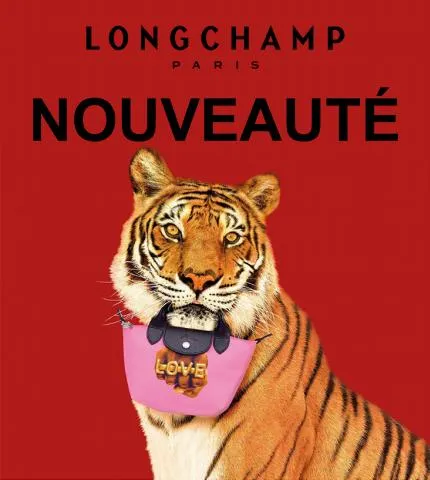 Nouveauté Longchamp!