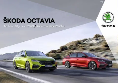 Catalogue Škoda