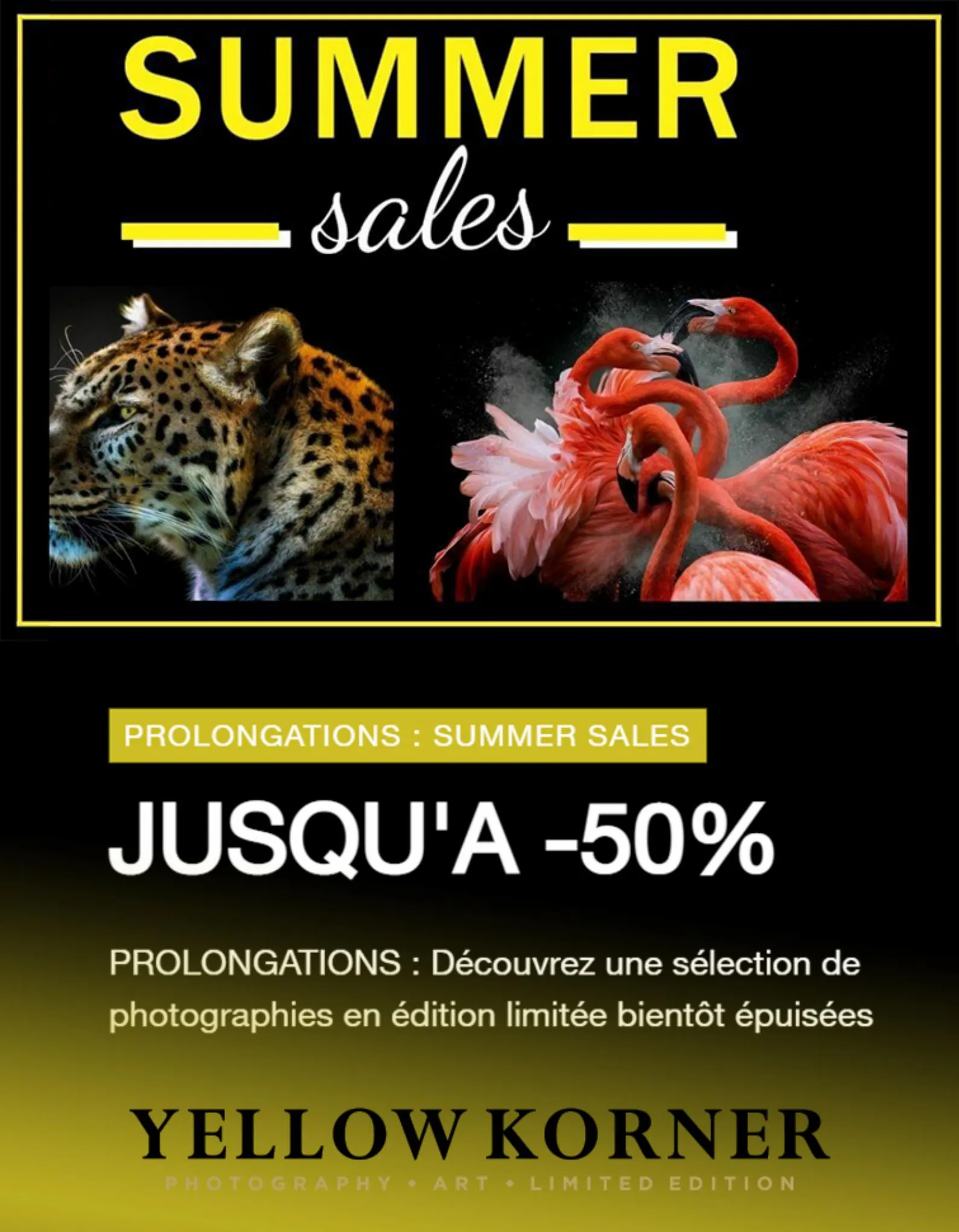 Catalogue PROLONGATIONS : JUSQU'À -50%, page 00001