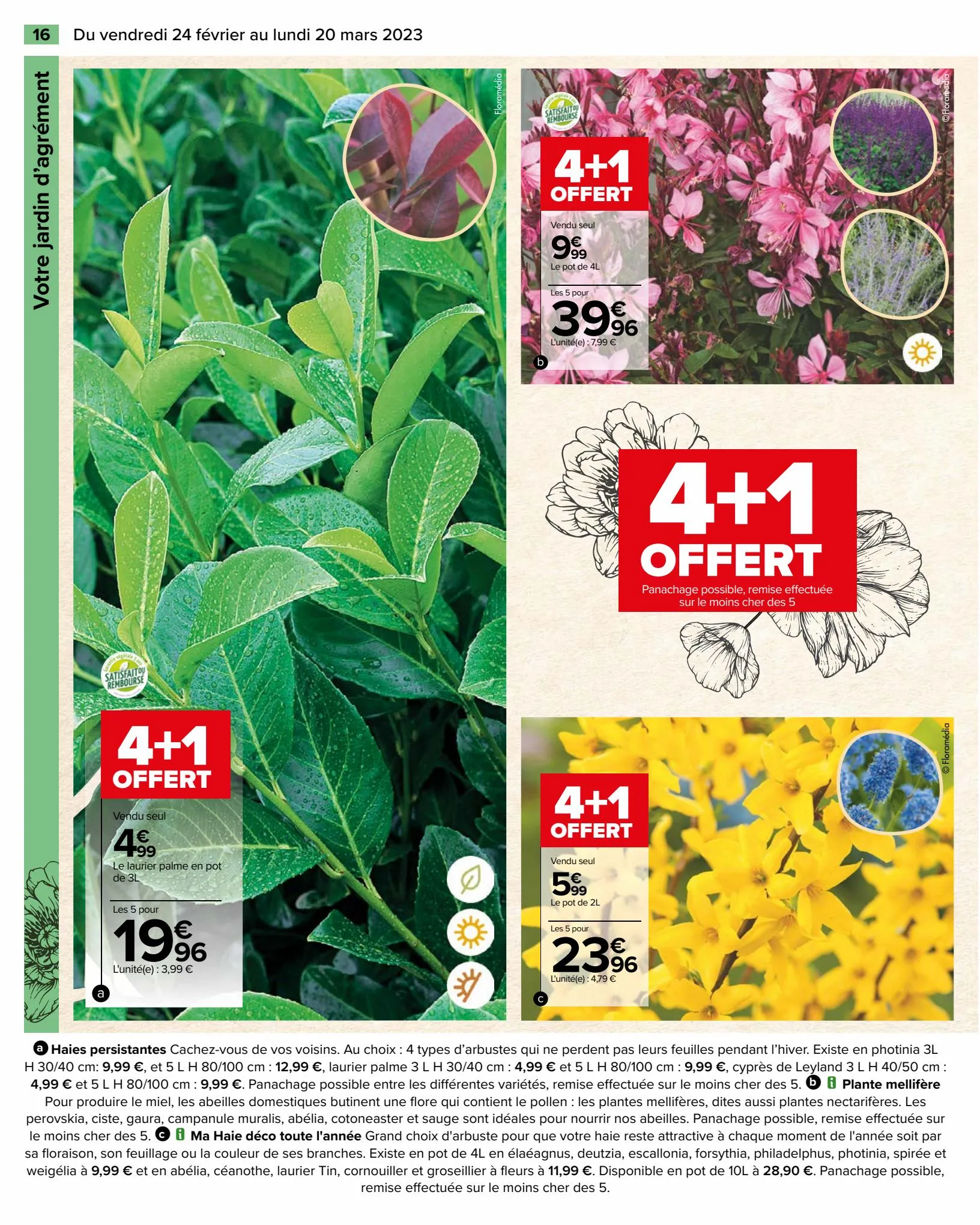 Catalogue Spécial Jardin, page 00016
