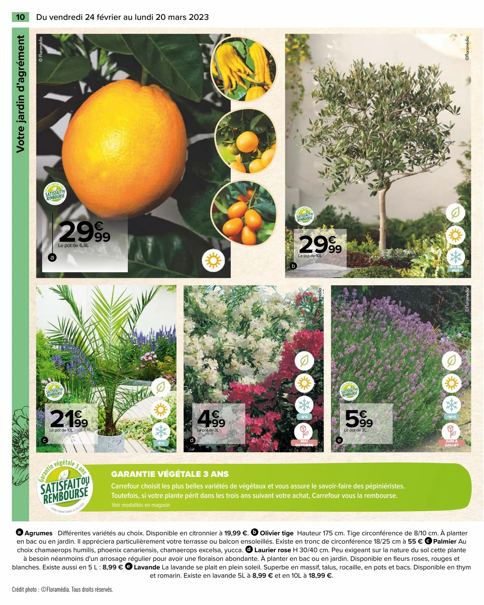 Catalogue Spécial Jardin, page 00010