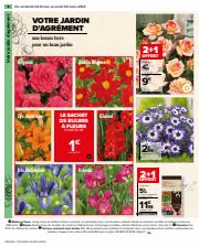 Catalogue Carrefour | Spécial Jardin | 24/02/2023 - 20/03/2023
