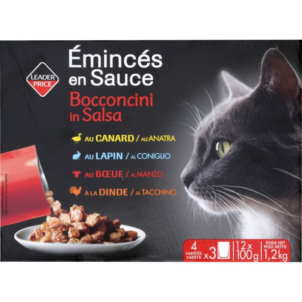 chat saumur