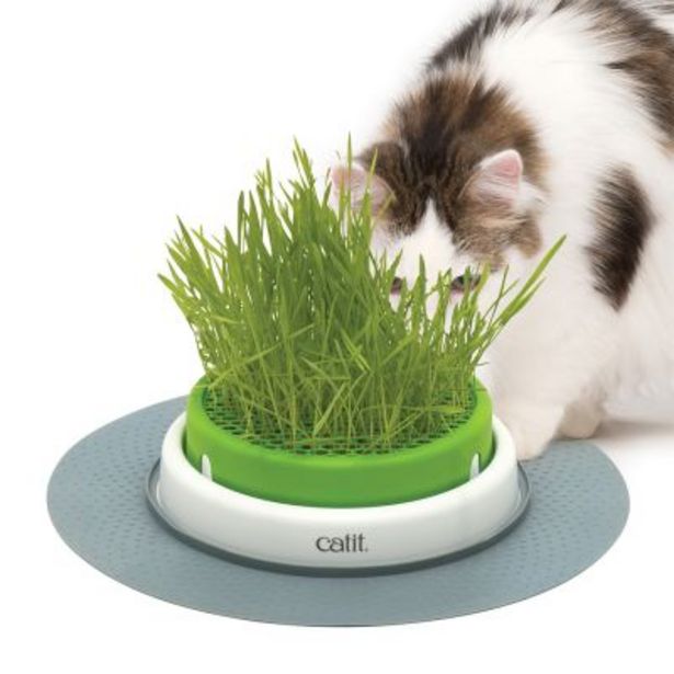 Jardinière d'herbe à chat Catit Senses 2.0 offre à 22,99€ sur Zooplus