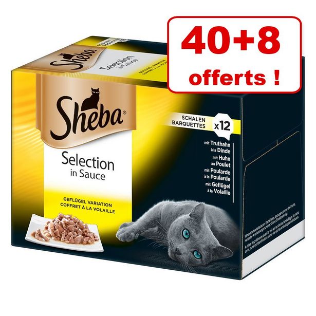 Acheter Alimentation A Luneville Promos Et Reductions