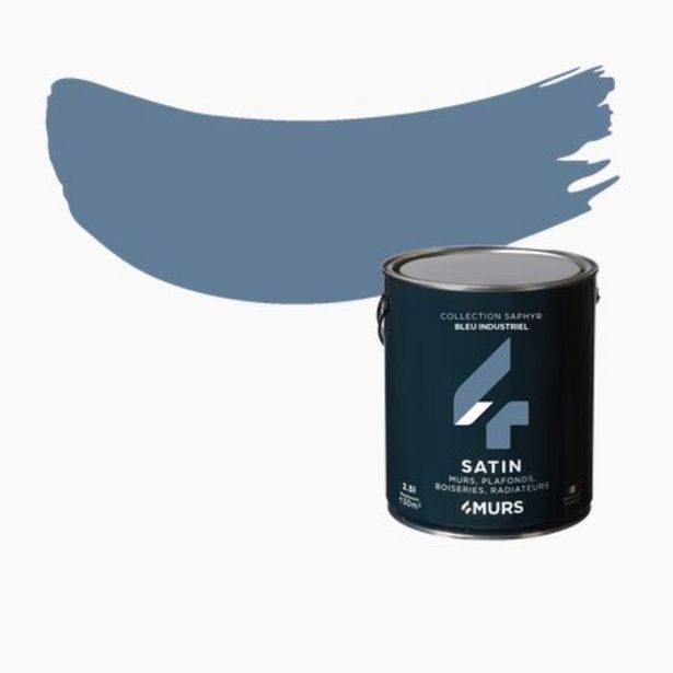 Peinture Multi-supports ABSOLU offre à 42,9€ sur 4 Murs