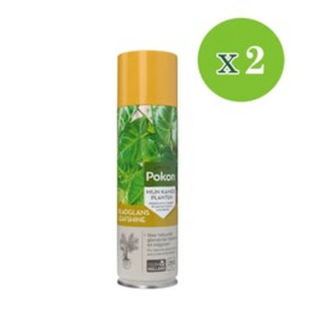 2x Spray de brillance des feuilles 250 ml - Pokon offre à 13,99€
