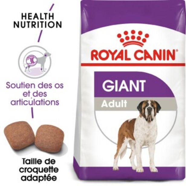 Giant Adulte Croquettes Chien 4 kg