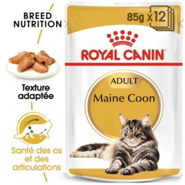 maine coon adulte nourriture humide chat 12 x 85 g