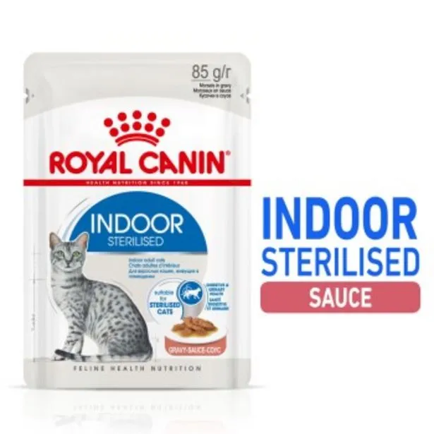 indoor stérilisé nourriture humide chat 12 x 85 g en sauce