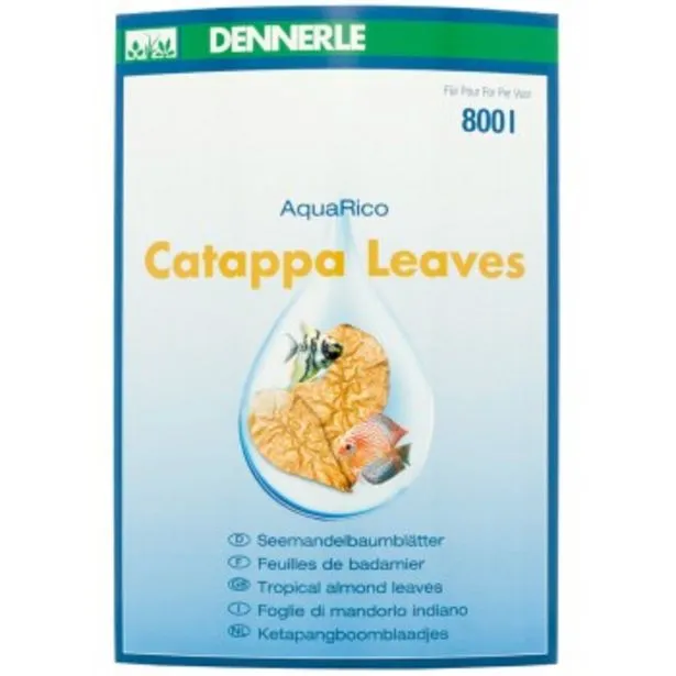 catappa leaves 8 pièces