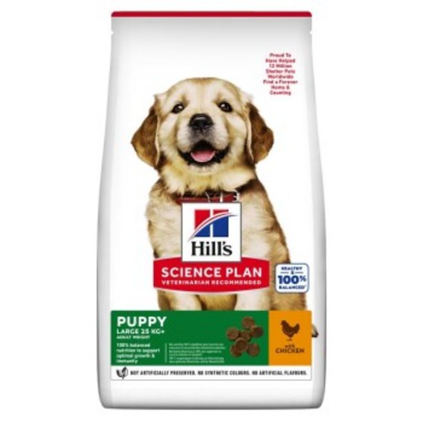 Science Plan Puppy Large Breed 16 kg