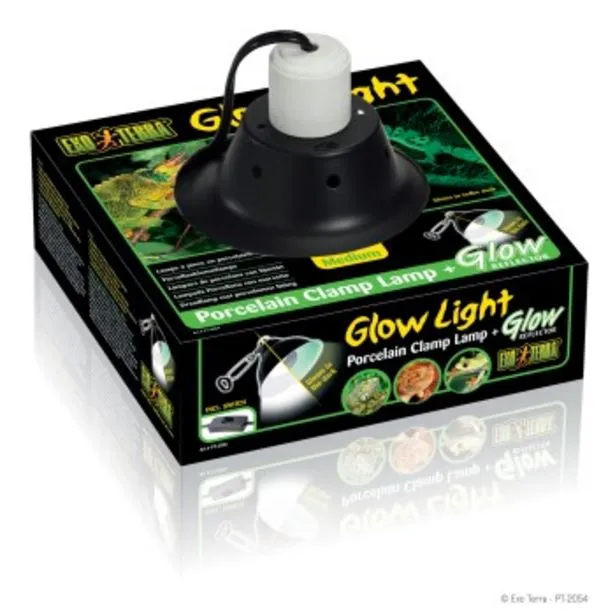 lampe porcelaine glow light medium