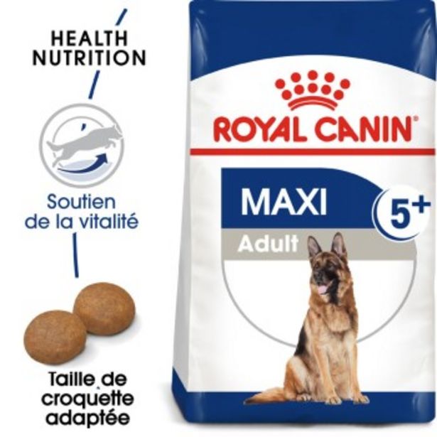 Maxi Adulte 5+ Croquettes Chien 4 kg