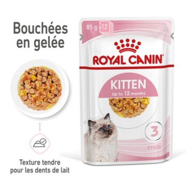 Chaton Nourriture humide Chat 12 x 85 g en gelée