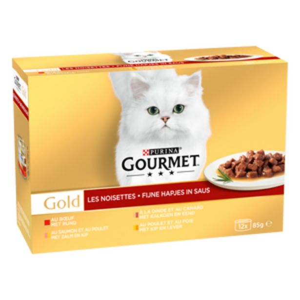 chat saint cloud