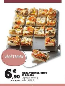 végétarien  6,6%.    pizza vegetarienne  30 toasts la plaque le lg 15.33 